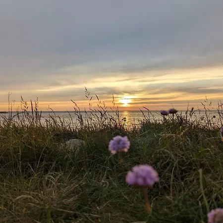 6 Person In Semesterbostad Tarm